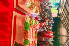CHRISTMAS-8