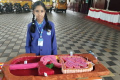 science-exhibition-33