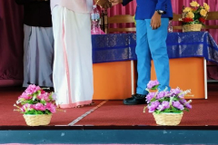VIDHYADARSHAN-247